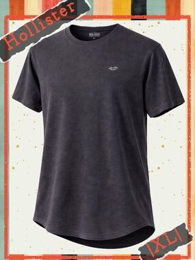 Hollister Black Curved Hem T-Shirt XL Must-Have Collection Cotton Logo Tee